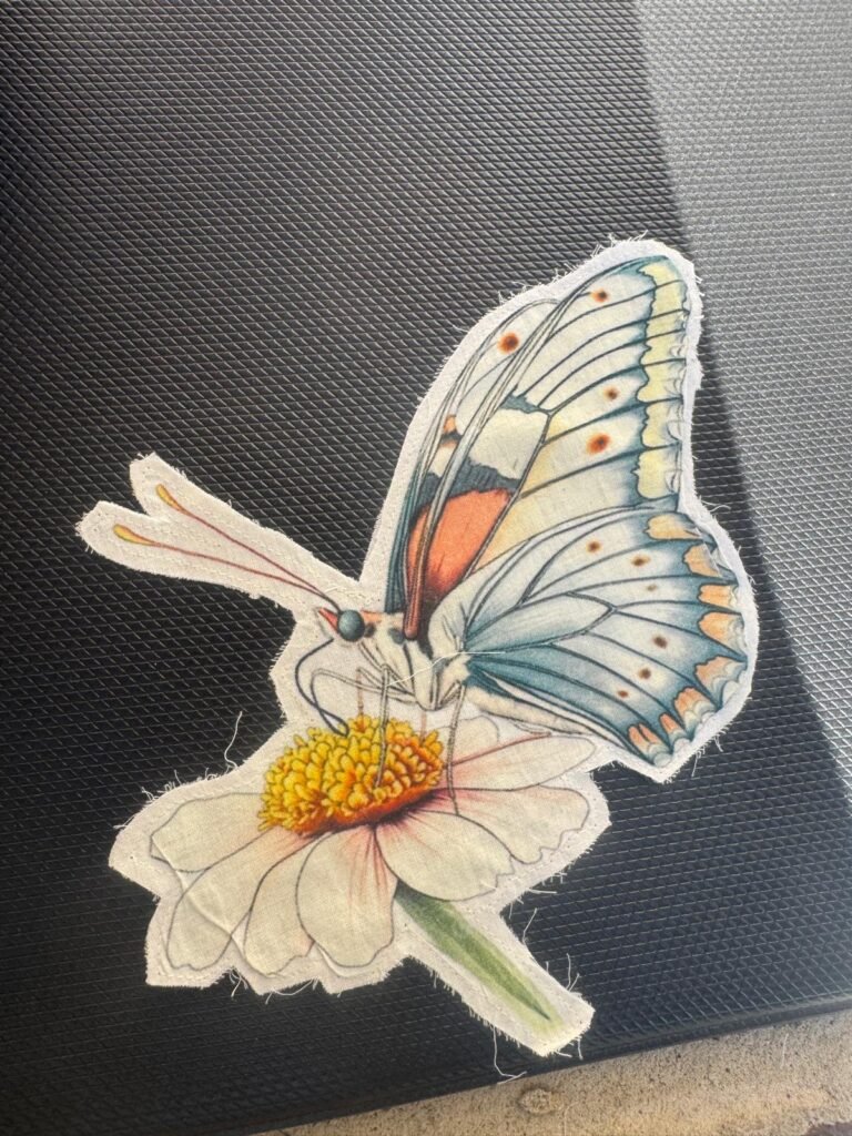 The image is a picture of a fabric or paper cutout featuring an illustration of a butterfly on a flower, possibly a daisy. embroidered patch or applique