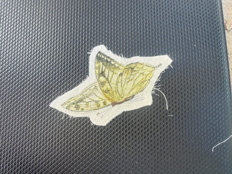 This is a butterfly patch. embroidered patch or appliqué